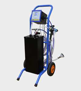 Electrostatic Spray Painting Equipment